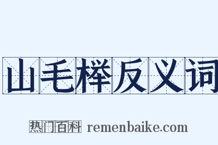 山毛榉反义词是什么意思的图片